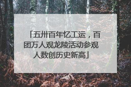 五卅百年忆工运，百团万人观龙陵活动参观人数创历史新高