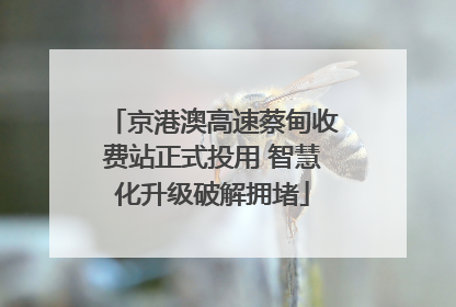 京港澳高速蔡甸收费站正式投用 智慧化升级破解拥堵