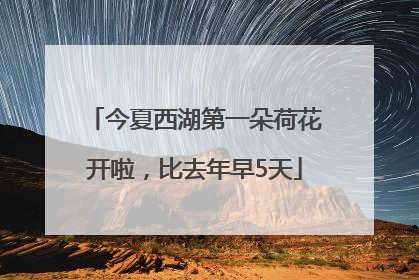 今夏西湖第一朵荷花开啦，比去年早5天
