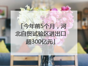 今年前5个月，河北自贸试验区进出口超300亿元