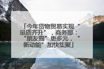 今年货物贸易实现“量质齐升”，商务部：“朋友圈”更多元，“新动能”加快集聚