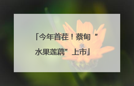 今年首茬！蔡甸“水果莲藕”上市