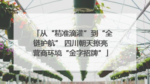 从“精准滴灌”到“全链护航” 四川朝天擦亮营商环境“金字招牌”