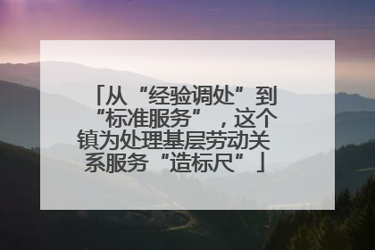 从“经验调处”到“标准服务”，这个镇为处理基层劳动关系服务“造标尺”
