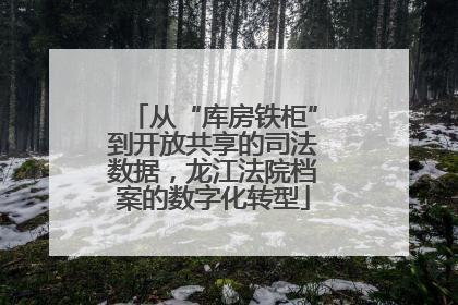 从“库房铁柜”到开放共享的司法数据，龙江法院档案的数字化转型