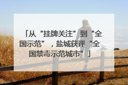 从“挂牌关注”到“全国示范”，盐城获评“全国禁毒示范城市”