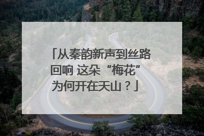 从秦韵新声到丝路回响 这朵“梅花”为何开在天山？