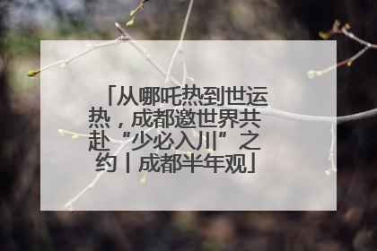 从哪吒热到世运热，成都邀世界共赴“少必入川”之约丨成都半年观