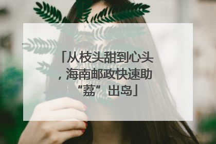 从枝头甜到心头，海南邮政快速助“荔”出岛
