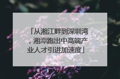 从湘江畔到深圳湾，湘潭跑出中高端产业人才引进加速度