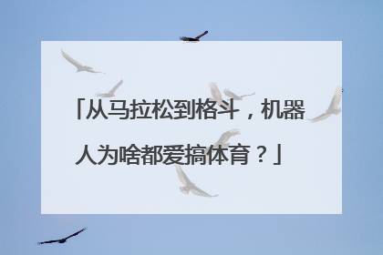从马拉松到格斗，机器人为啥都爱搞体育？