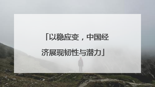 以稳应变，中国经济展现韧性与潜力