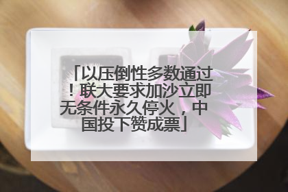 以压倒性多数通过！联大要求加沙立即无条件永久停火，中国投下赞成票