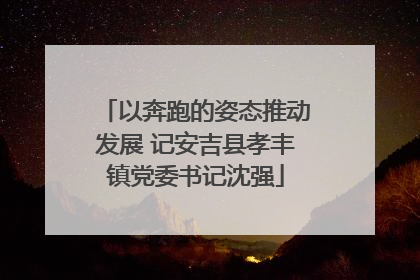 以奔跑的姿态推动发展 记安吉县孝丰镇党委书记沈强