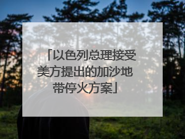 以色列总理接受美方提出的加沙地带停火方案