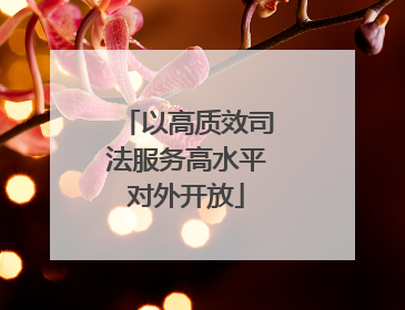 以高质效司法服务高水平对外开放