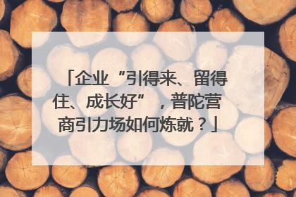 企业“引得来、留得住、成长好”，普陀营商引力场如何炼就？