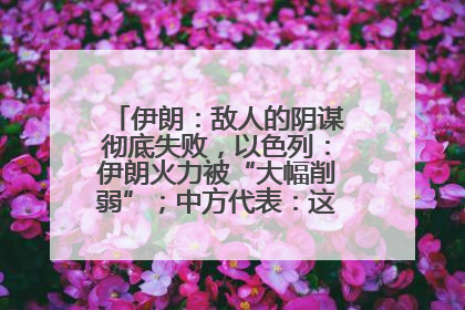 伊朗：敌人的阴谋彻底失败，以色列：伊朗火力被“大幅削弱”；中方代表：这次不能再有欺骗