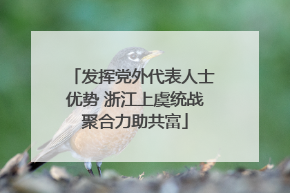 发挥党外代表人士优势 浙江上虞统战聚合力助共富
