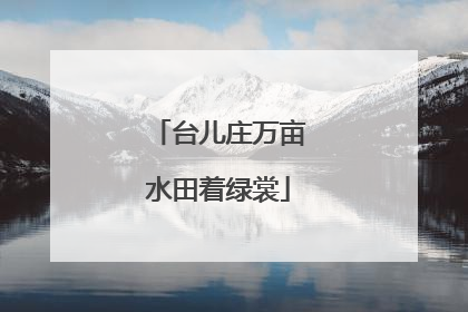 台儿庄万亩水田着绿裳