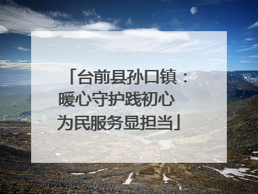 台前县孙口镇：暖心守护践初心 为民服务显担当