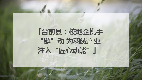 台前县：校地企携手“链”动 为羽绒产业注入“匠心动能”