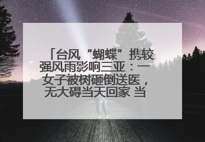 台风“蝴蝶”携较强风雨影响三亚：一女子被树砸倒送医，无大碍当天回家 当地已紧急清障