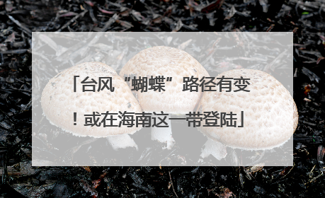 台风“蝴蝶”路径有变！或在海南这一带登陆