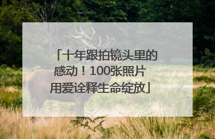 十年跟拍镜头里的感动！100张照片用爱诠释生命绽放