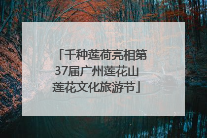 千种莲荷亮相第37届广州莲花山莲花文化旅游节