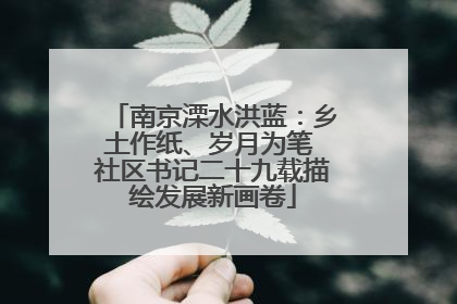 南京溧水洪蓝：乡土作纸、岁月为笔 社区书记二十九载描绘发展新画卷