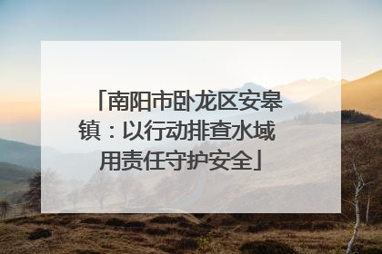 南阳市卧龙区安皋镇：以行动排查水域 用责任守护安全