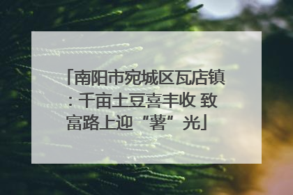 南阳市宛城区瓦店镇：千亩土豆喜丰收 致富路上迎“薯”光