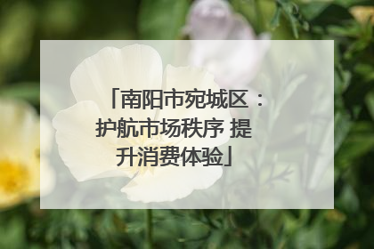 南阳市宛城区：护航市场秩序 提升消费体验