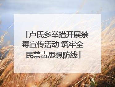 卢氏多举措开展禁毒宣传活动 筑牢全民禁毒思想防线