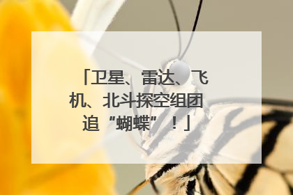 卫星、雷达、飞机、北斗探空组团追“蝴蝶”！