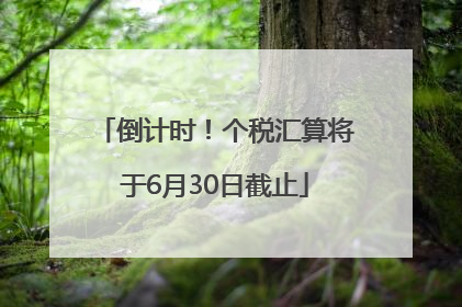 倒计时！个税汇算将于6月30日截止