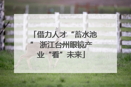 借力人才“蓄水池” 浙江台州眼镜产业“看”未来