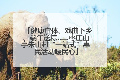 健康查体、戏曲下乡、端午送粽……枣庄山亭朱山村“一站式”惠民活动暖民心