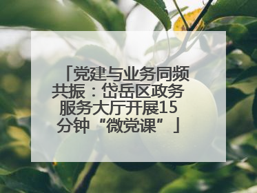党建与业务同频共振：岱岳区政务服务大厅开展15分钟“微党课”