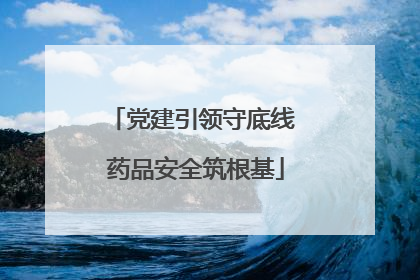 党建引领守底线 药品安全筑根基