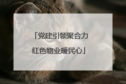 党建引领聚合力 红色物业暖民心