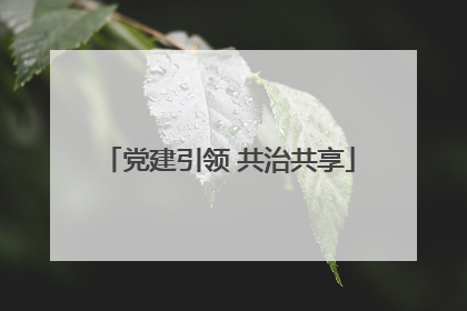 党建引领 共治共享