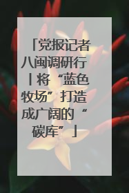 党报记者八闽调研行丨将“蓝色牧场”打造成广阔的“碳库”