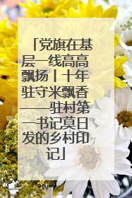 党旗在基层一线高高飘扬丨十年驻守米飘香——驻村第一书记莫日发的乡村印记