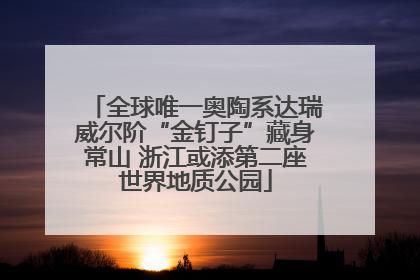 全球唯一奥陶系达瑞威尔阶“金钉子”藏身常山 浙江或添第二座世界地质公园