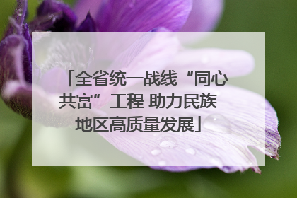 全省统一战线“同心共富”工程 助力民族地区高质量发展