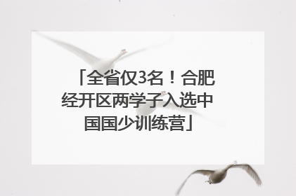 全省仅3名！合肥经开区两学子入选中国国少训练营