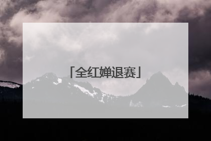 全红婵退赛