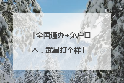全国通办+免户口本，武昌打个样